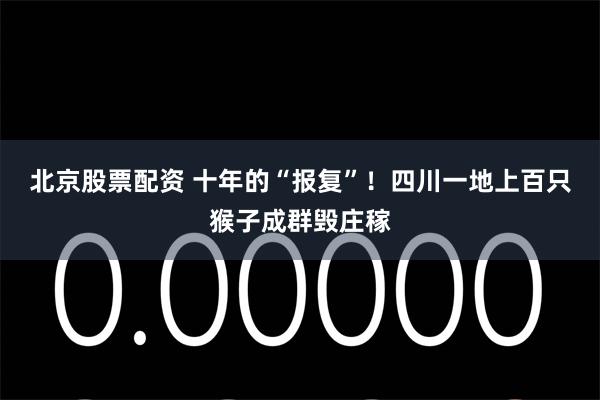 北京股票配资 十年的“报复”！四川一地上百只猴子成群毁庄稼