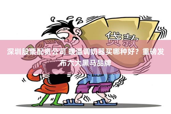 深圳股票配资公司 暖温调奶器买哪种好？重磅发布六大黑马品牌